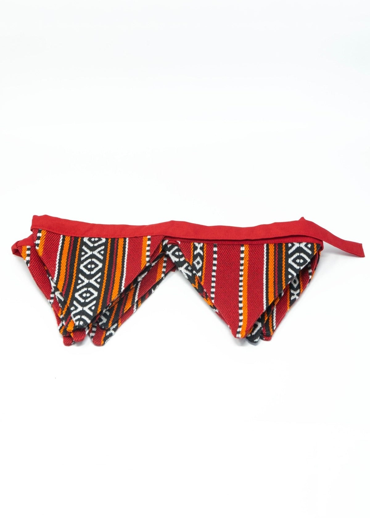 Bunting Banner