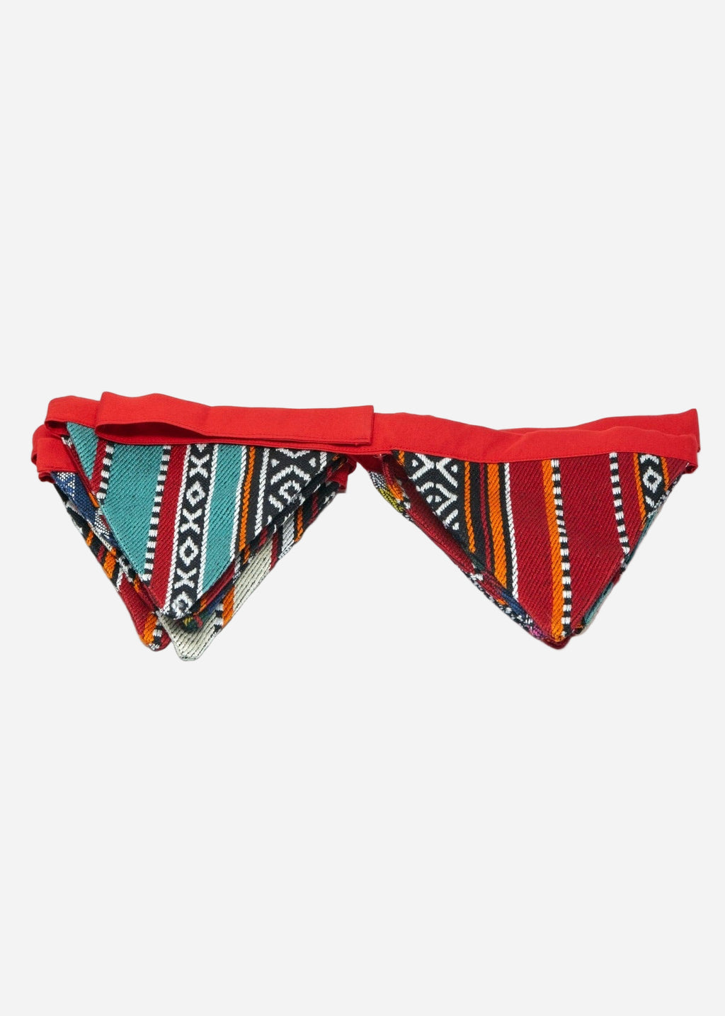 Bunting Banner