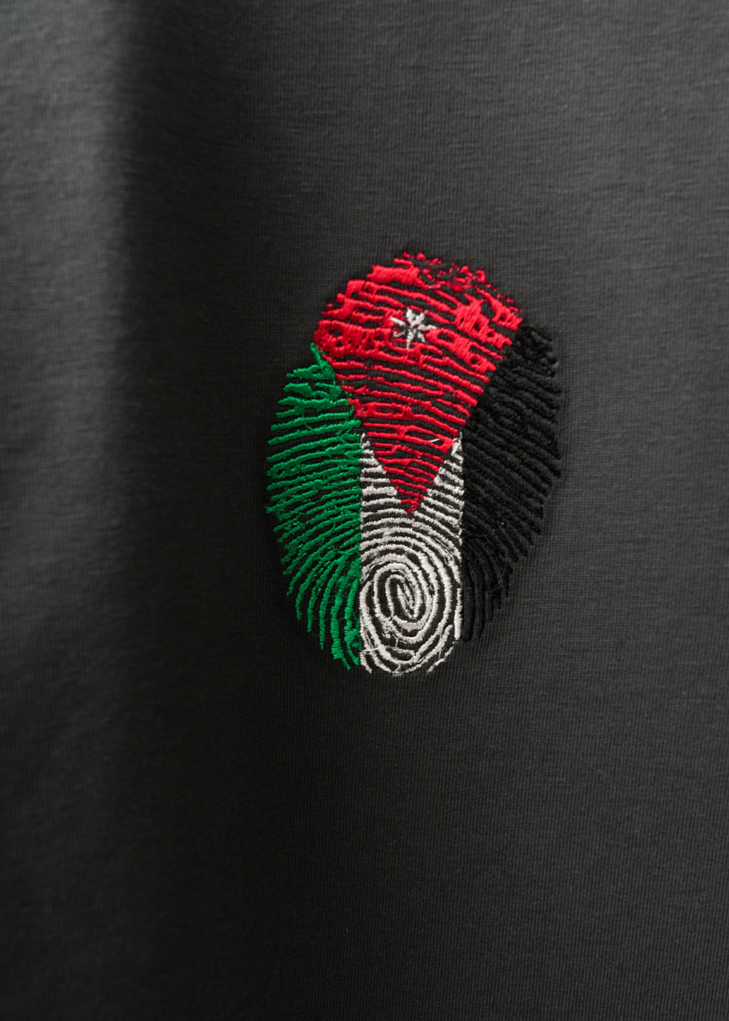 Jordan Flag Fingerprint T-Shirt — Gray