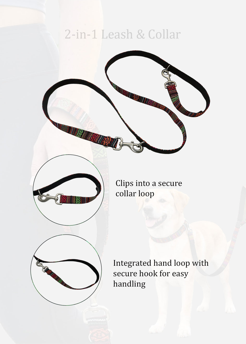 Dog Leash