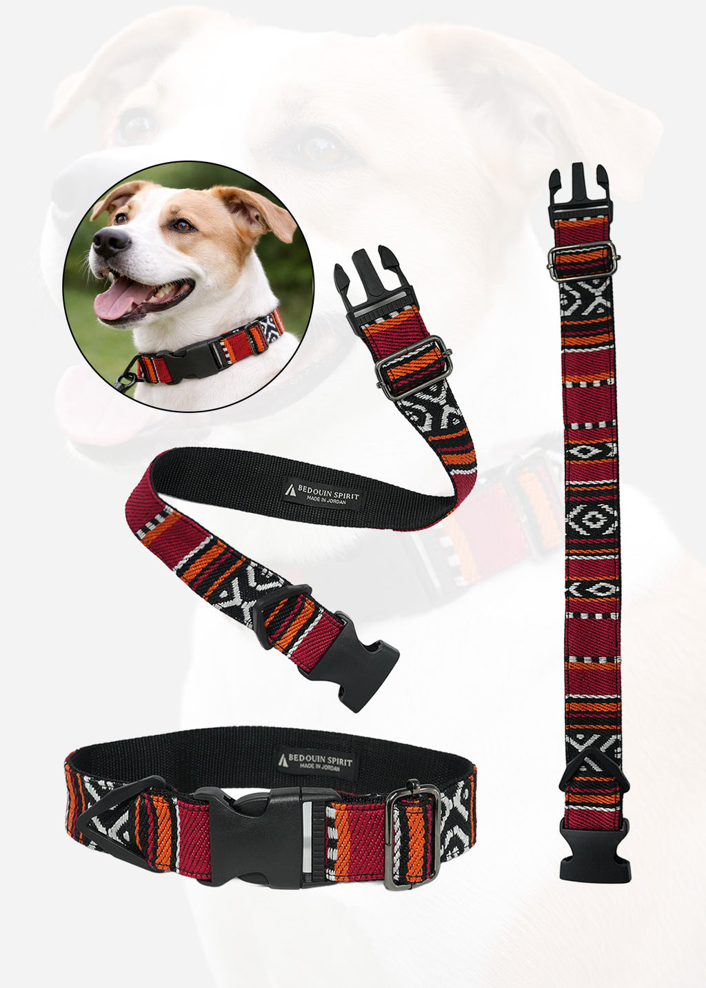 Dog Collar