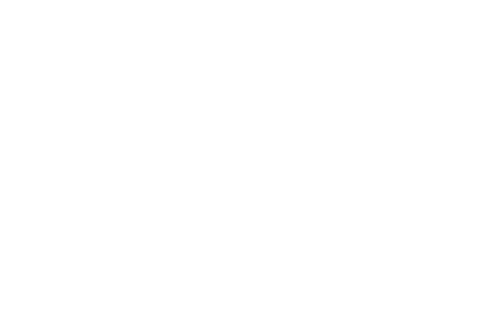 Bedouin Spirit